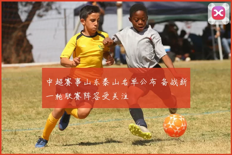中超赛事山东泰山名单公布 备战新一轮联赛阵容受关注