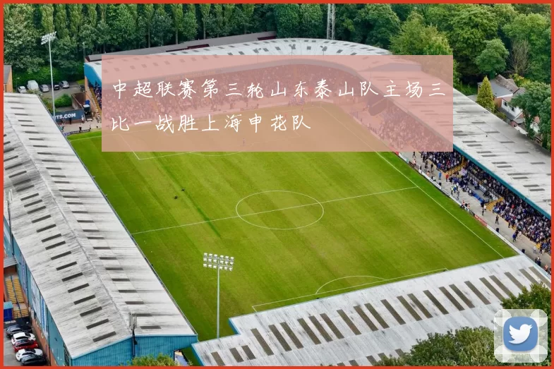 中超联赛第三轮山东泰山队主场三比一战胜上海申花队